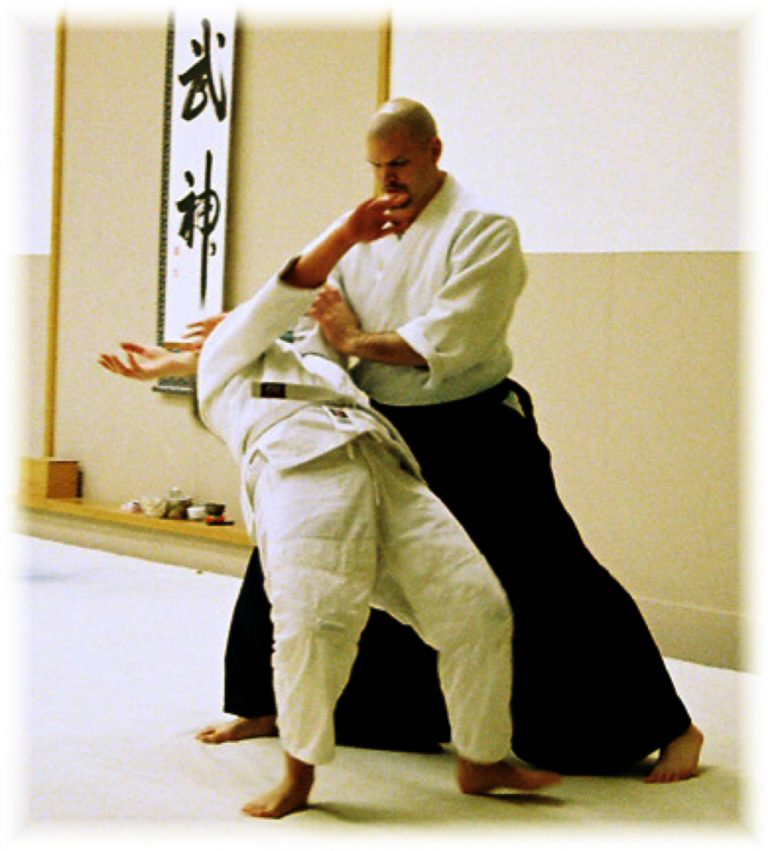 Aikido throw