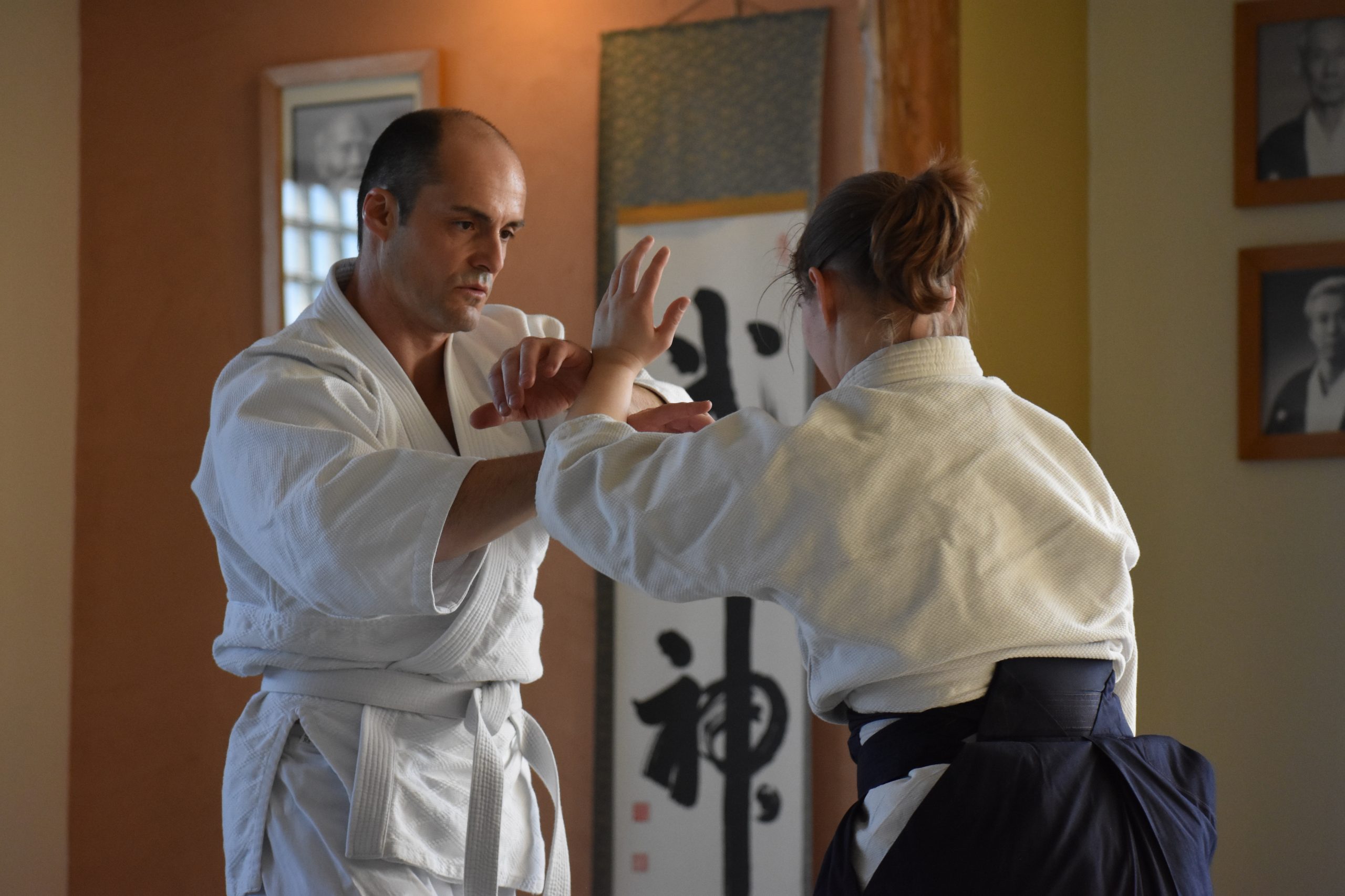 You are currently viewing Introductory Aikido Class