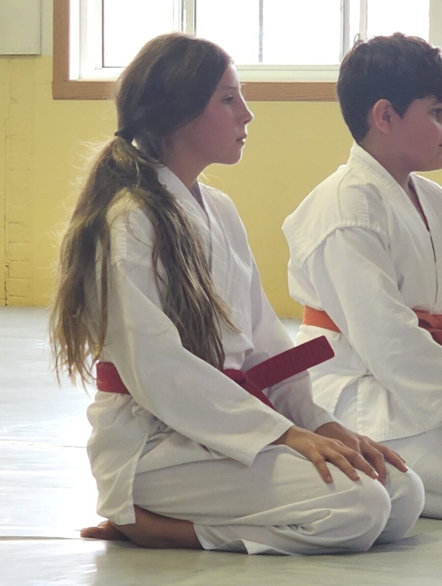 You are currently viewing Why I do Aikido, by Thalia Weber