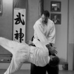 Aikido- Learn to Fall and Get Back Up in one Motion