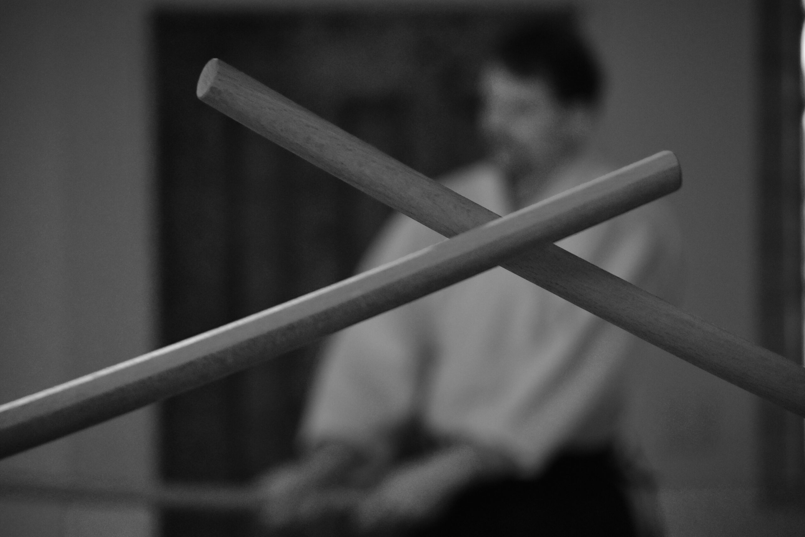 Read more about the article AIKIDO Weapons Seminar